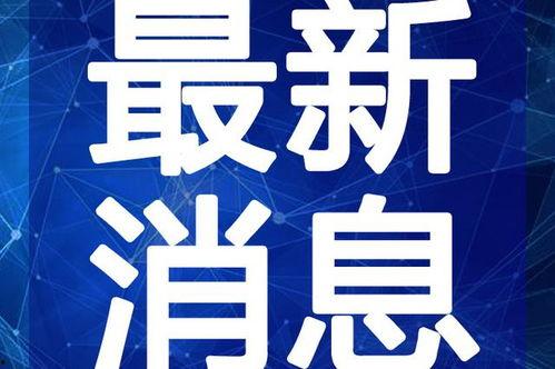 大连豪宅爆料事件视频最新,揭秘高端住宅区惊人内幕